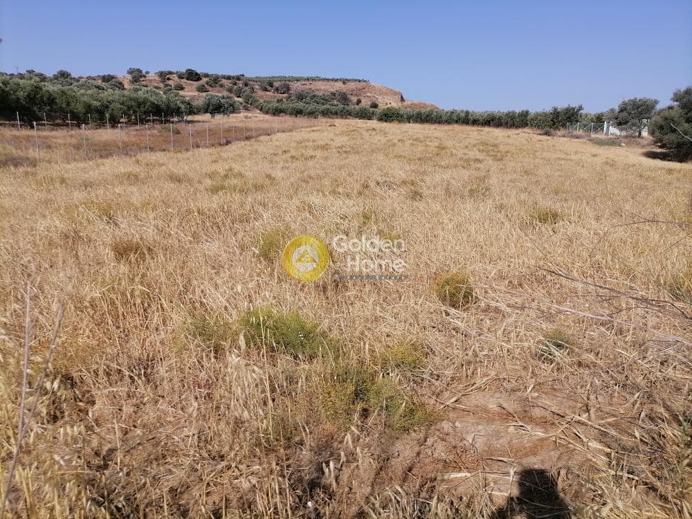 Οικόπεδο στην Καμηλάρι, Τυμπάκι — Φωτογραφία 21 από 21
