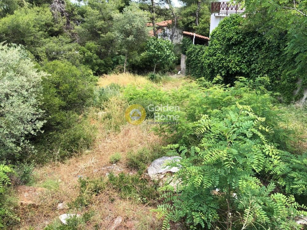 Οικόπεδο στην Δροσιά, Δροσιά — Φωτογραφία 12 από 14