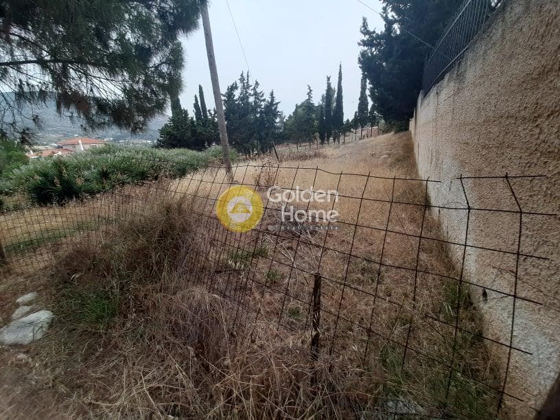 Αγροτεμάχιο στην Γαλάζια ακτή, Καλύβια Θορικού — Φωτογραφία 3 από 4