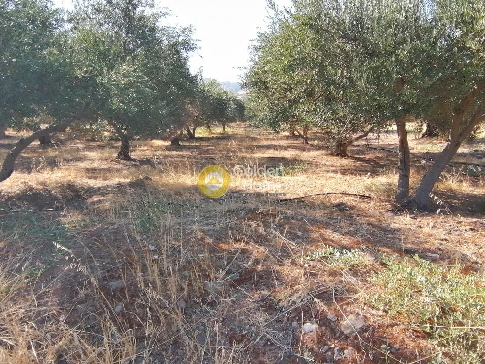 Building Plot in Kouses, Moires — Photo 5 of 16