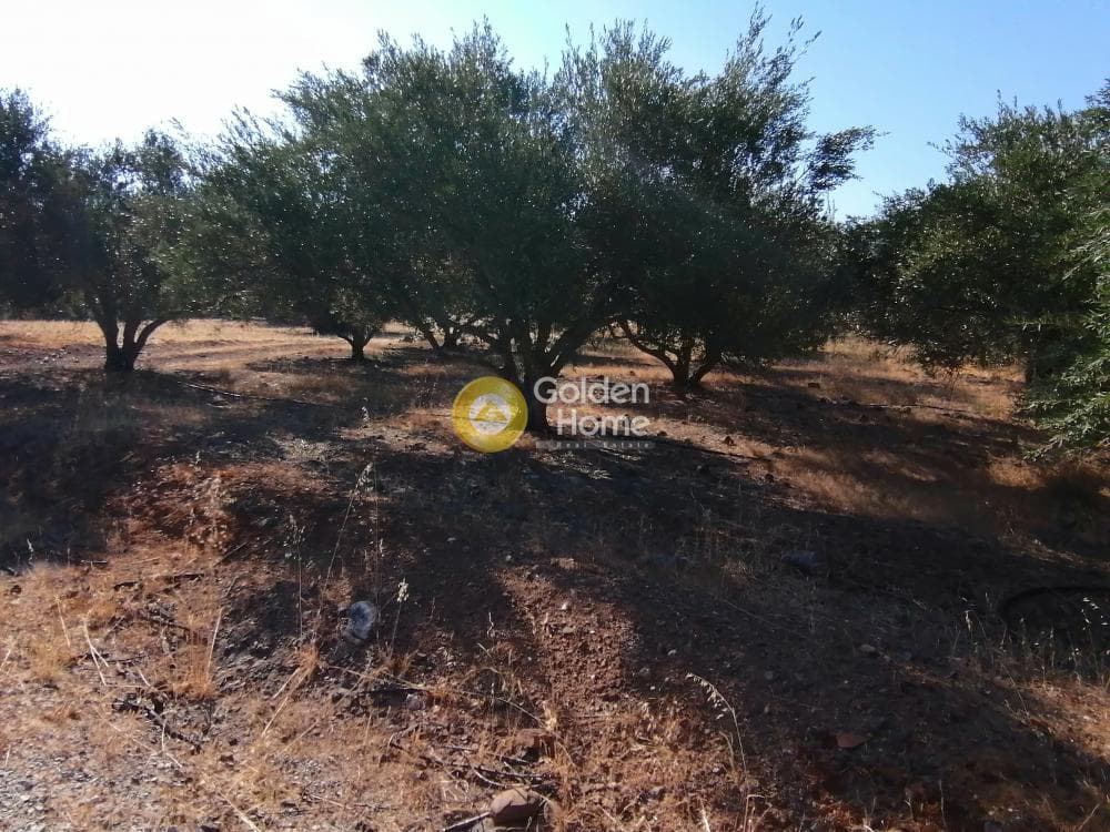 Building Plot in Kouses, Moires — Photo 8 of 16
