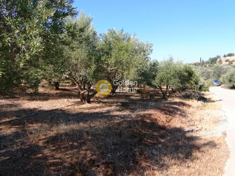 Building Plot in Kouses, Moires — Photo 11 of 16