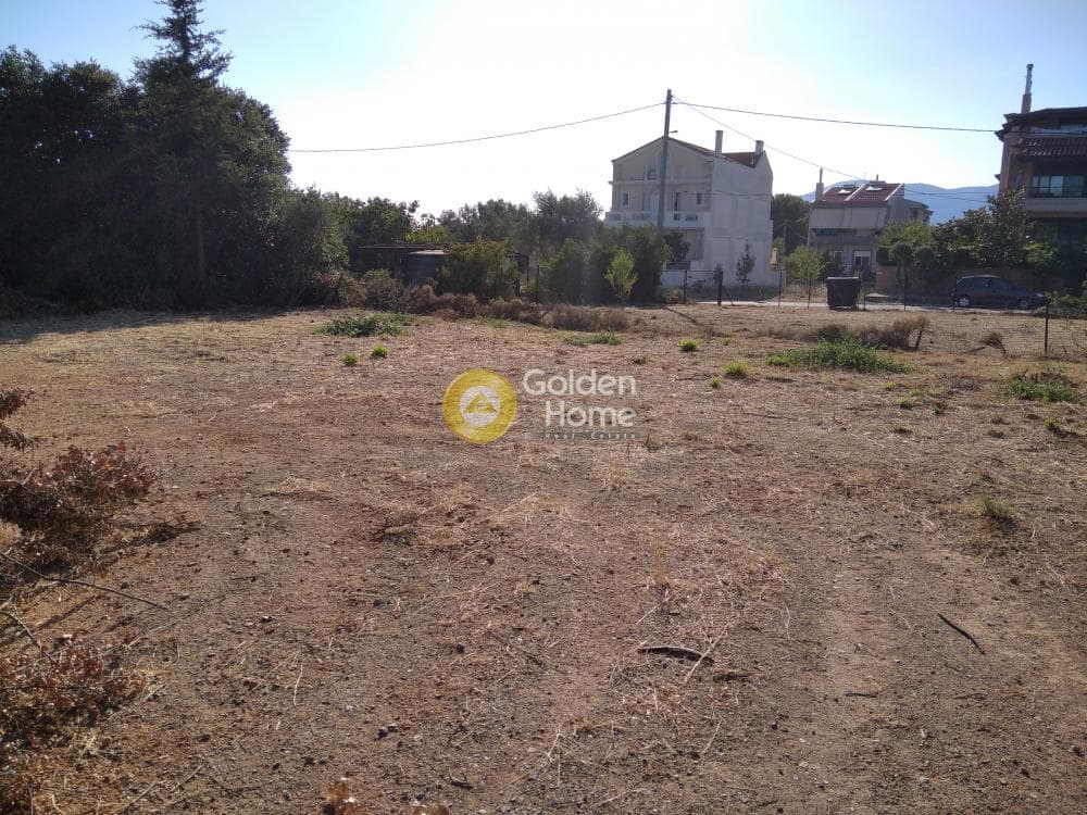 Building Plot in Adames Oikismos Grammos - Foinikas, Kifisia — Photo 1 of 6