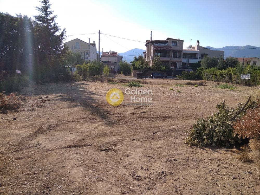 Building Plot in Adames Oikismos Grammos - Foinikas, Kifisia — Photo 4 of 6