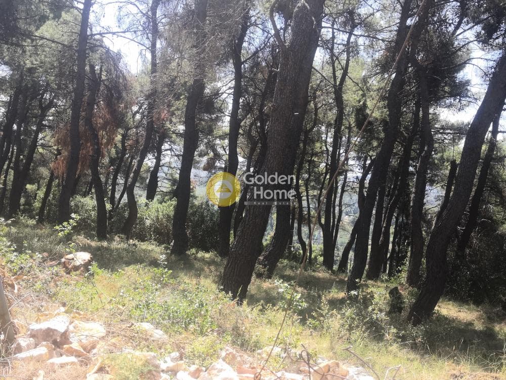 Building Plot in Efxinos Pontos, Stamata — Photo 3 of 4