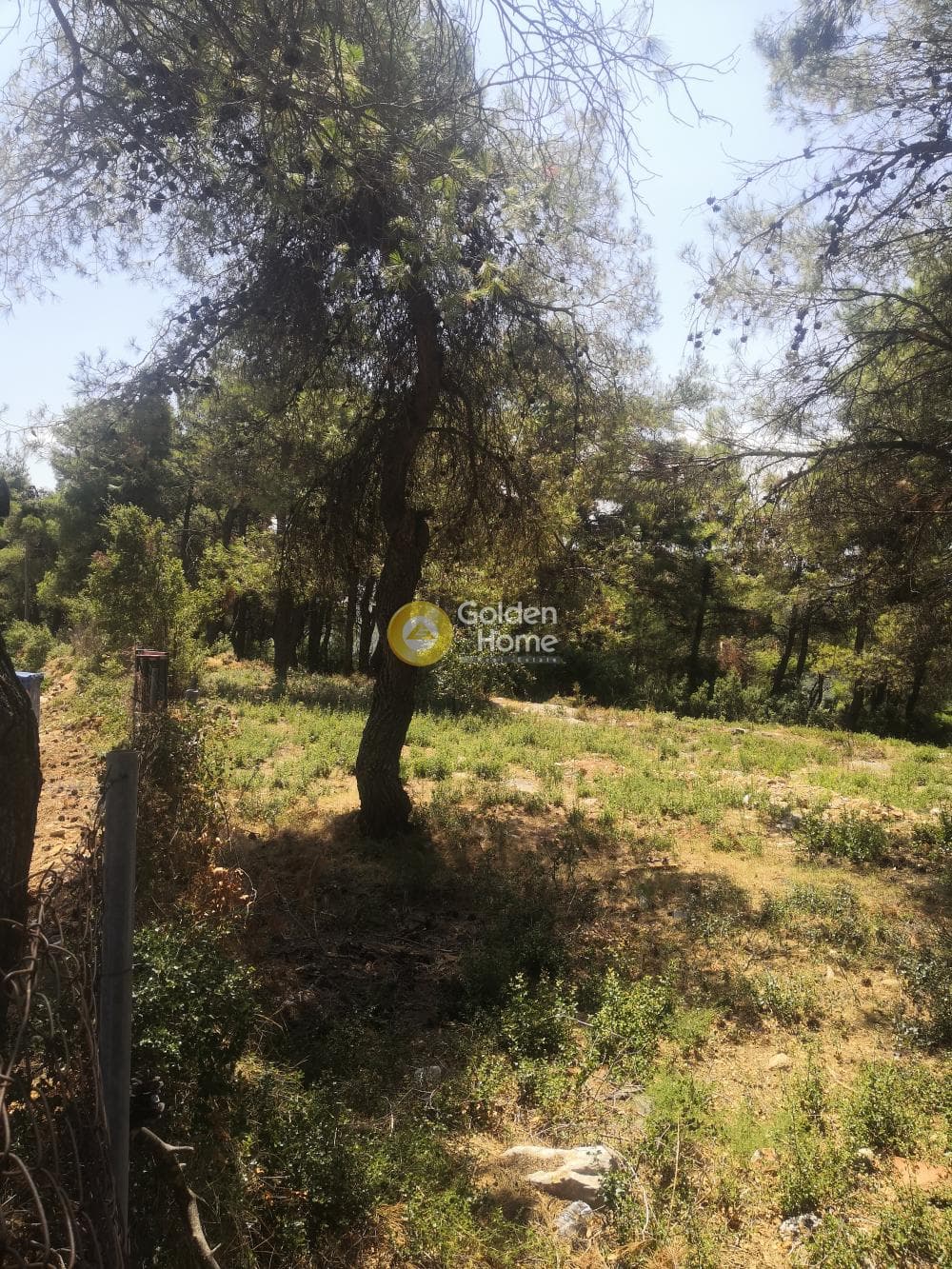 Building Plot in Efxinos Pontos, Stamata — Photo 4 of 4