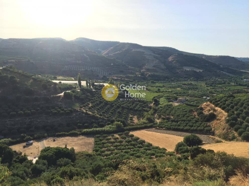 Building Plot in Agios Sillas, Archanes — Photo 19 of 23