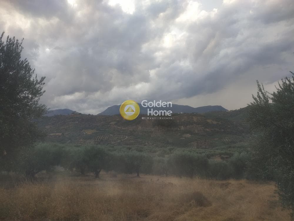 Οικόπεδο στην Άγιος Μύρωνας, Τετραχώρι — Φωτογραφία 7 από 7