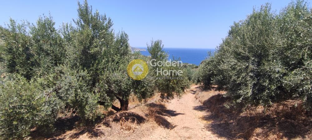 Οικόπεδο στην Καπετανάκι Μετόχι, Γάζι — Φωτογραφία 14 από 21