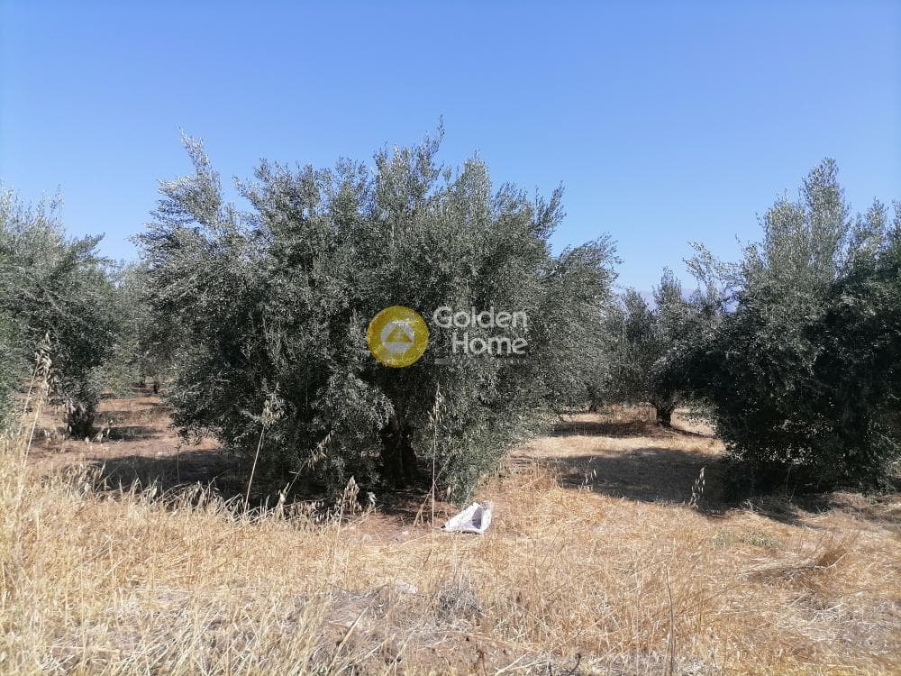 Οικόπεδο στην Κουσές, Μοίρες — Φωτογραφία 6 από 6