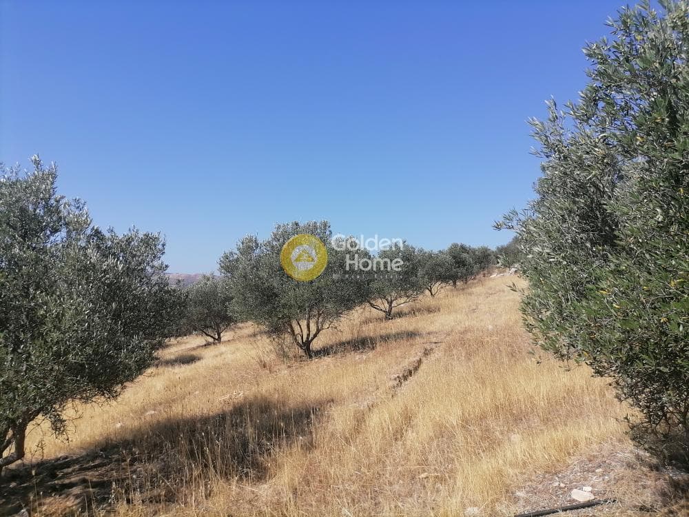 Οικόπεδο στην Λίσταρος, Μοίρες — Φωτογραφία 15 από 23