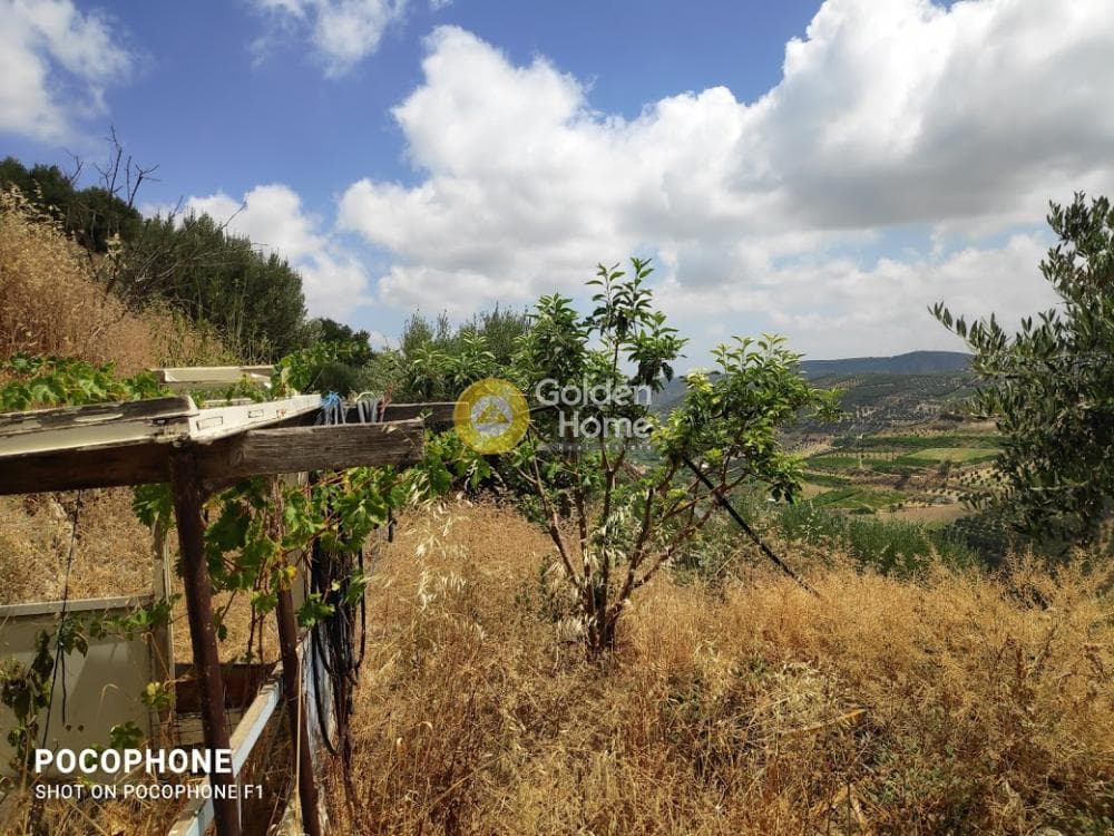 Αγροτεμάχιο στην Άγιος Μύρωνας, Τετραχώρι — Φωτογραφία 29 από 31