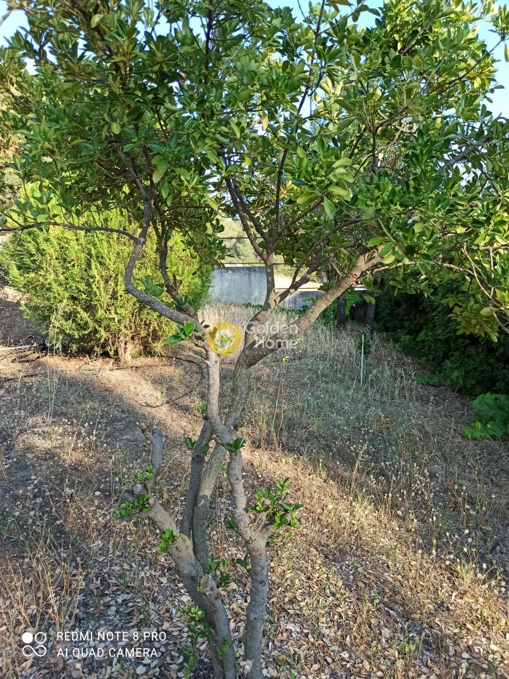 House in Sofiko, Soligeia — Photo 24 of 26