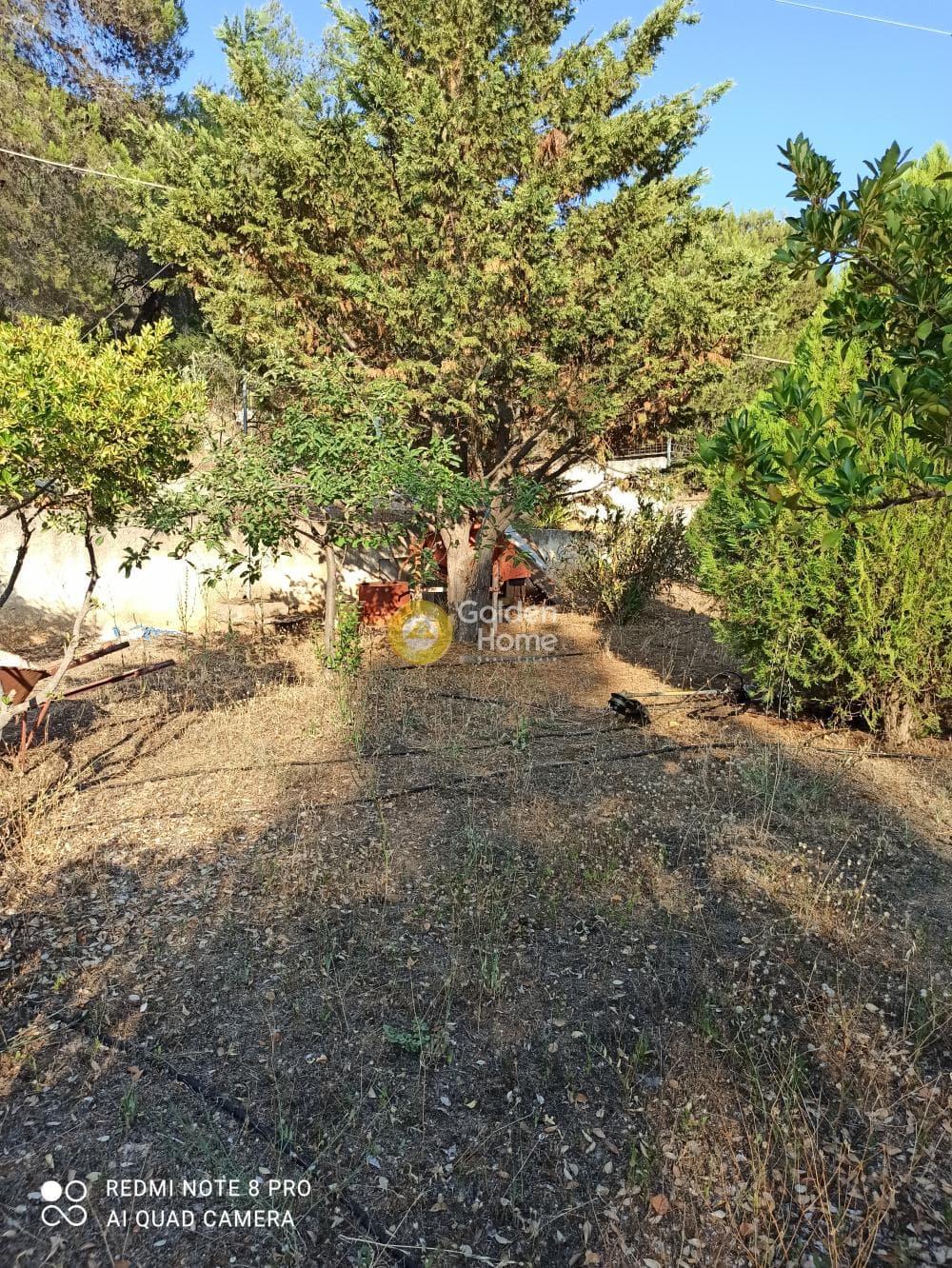 House in Sofiko, Soligeia — Photo 25 of 26