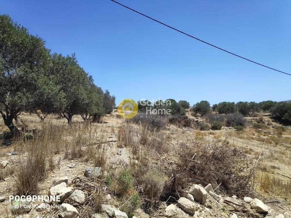 Οικόπεδο στην Καμηλάρι, Τυμπάκι — Φωτογραφία 2 από 25