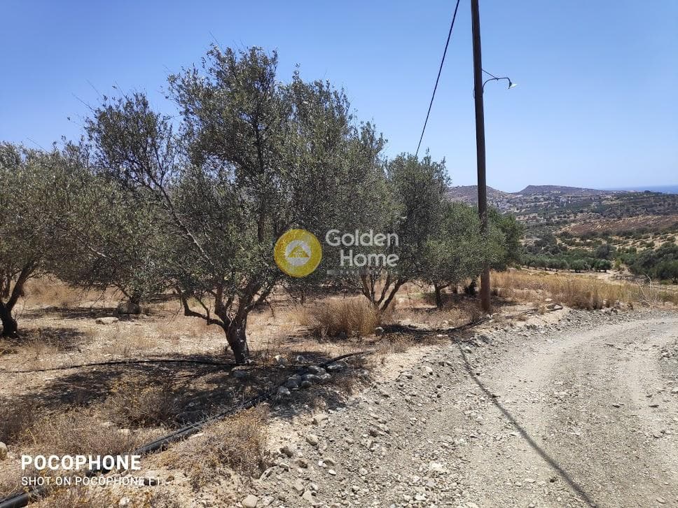 Οικόπεδο στην Καμηλάρι, Τυμπάκι — Φωτογραφία 8 από 25