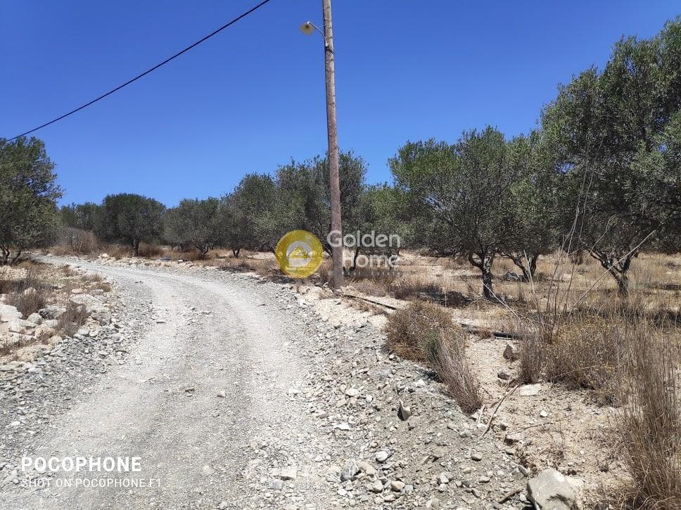 Οικόπεδο στην Καμηλάρι, Τυμπάκι — Φωτογραφία 7 από 25
