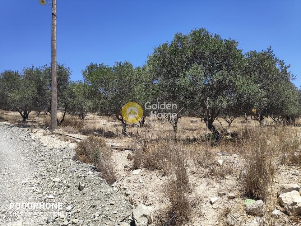 Οικόπεδο στην Καμηλάρι, Τυμπάκι — Φωτογραφία 6 από 25
