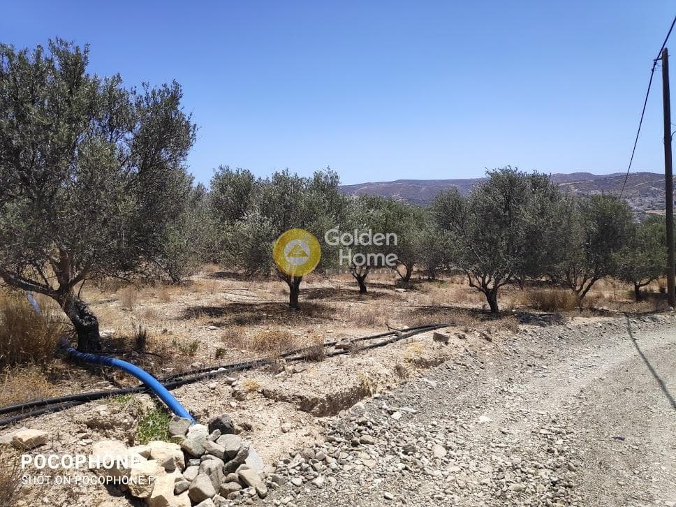 Οικόπεδο στην Καμηλάρι, Τυμπάκι — Φωτογραφία 9 από 25