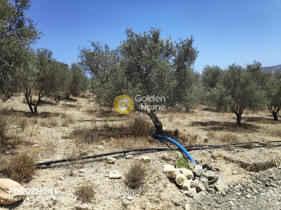 Οικόπεδο στην Καμηλάρι, Τυμπάκι — Φωτογραφία 10 από 25