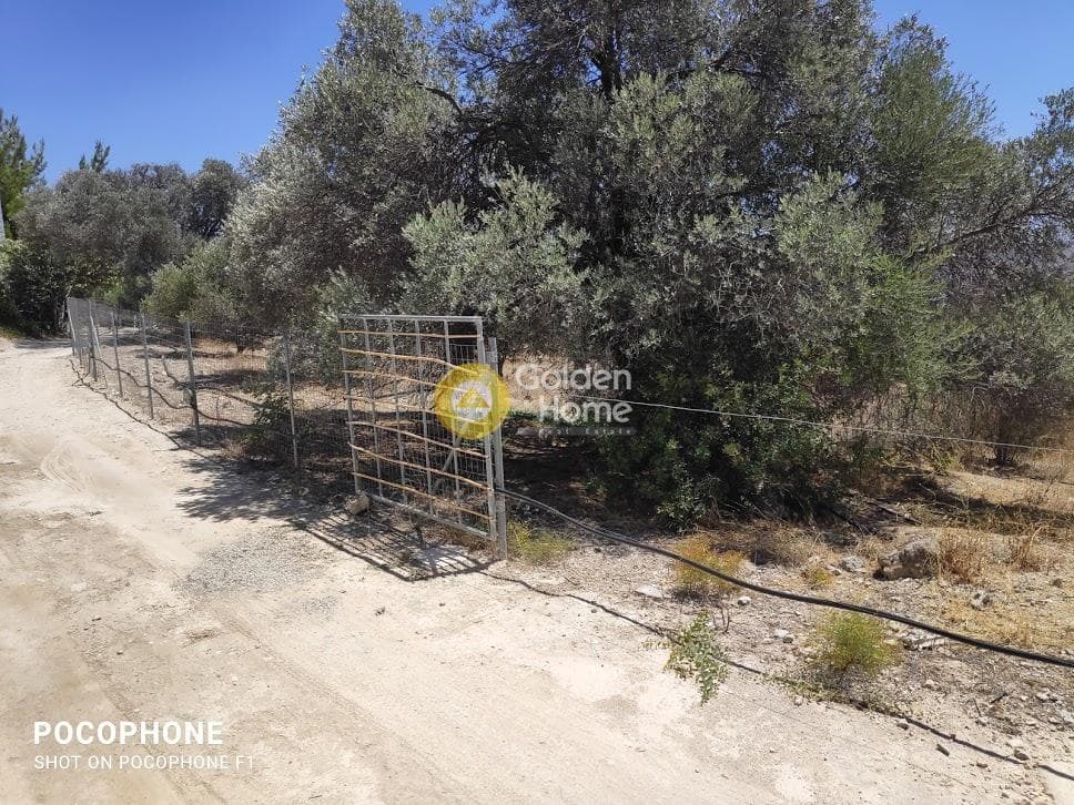 Οικόπεδο στην Καμηλάρι, Τυμπάκι — Φωτογραφία 14 από 25