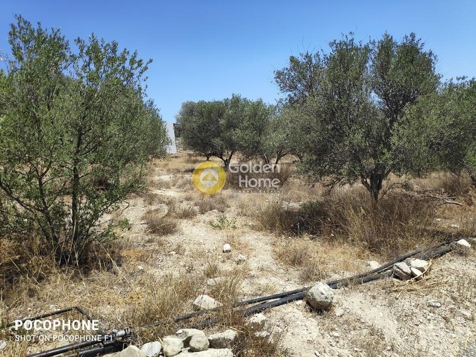 Οικόπεδο στην Καμηλάρι, Τυμπάκι — Φωτογραφία 13 από 25