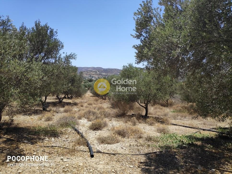 Οικόπεδο στην Καμηλάρι, Τυμπάκι — Φωτογραφία 17 από 25