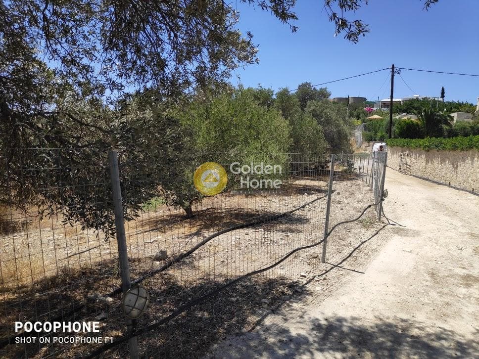 Οικόπεδο στην Καμηλάρι, Τυμπάκι — Φωτογραφία 18 από 25