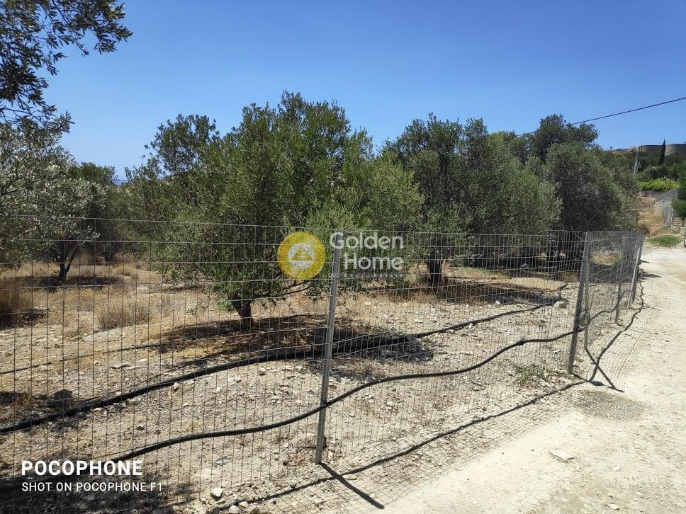 Οικόπεδο στην Καμηλάρι, Τυμπάκι — Φωτογραφία 19 από 25