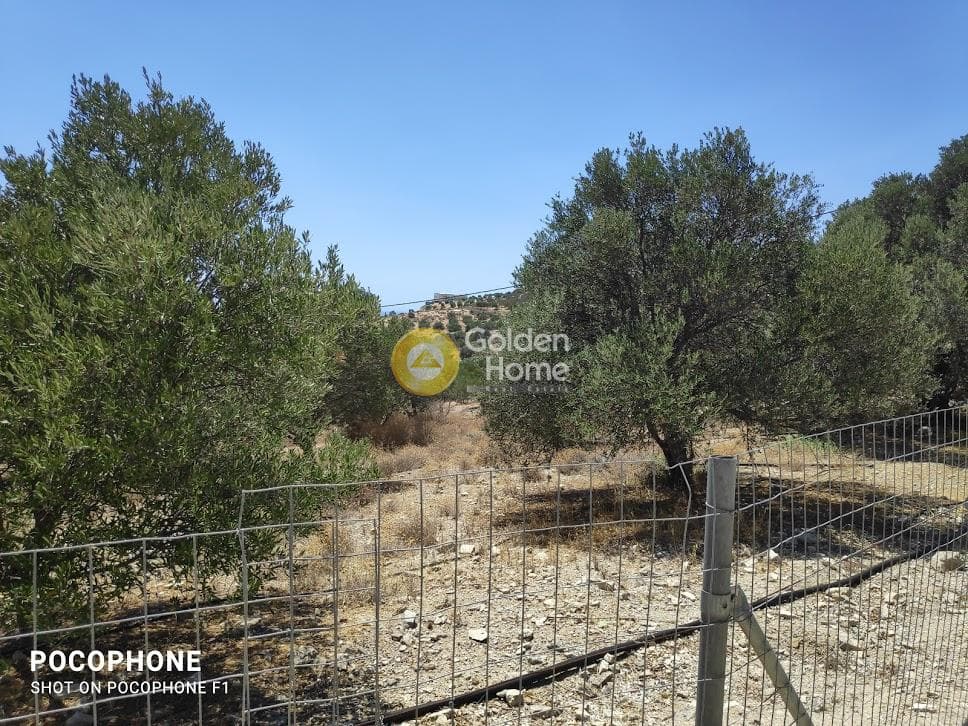 Οικόπεδο στην Καμηλάρι, Τυμπάκι — Φωτογραφία 23 από 25