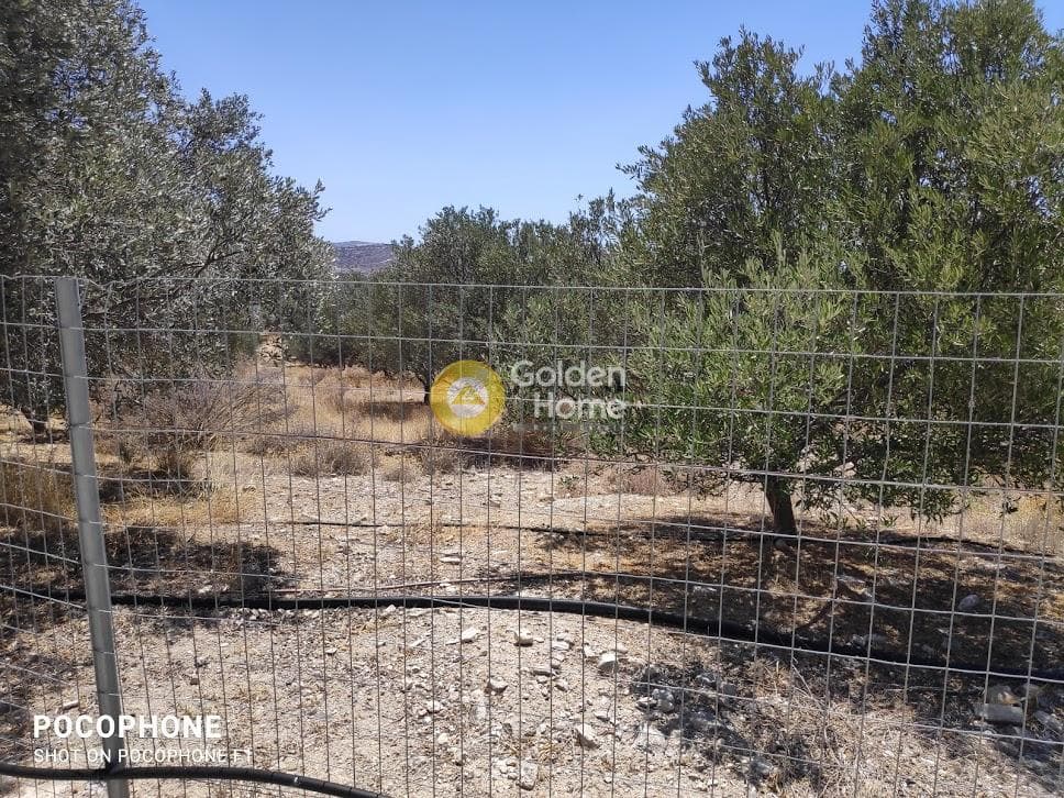 Οικόπεδο στην Καμηλάρι, Τυμπάκι — Φωτογραφία 24 από 25
