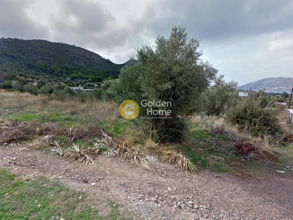 Αγροτεμάχιο στην Μεγάλο Ντορότο, Σαλαμίνα