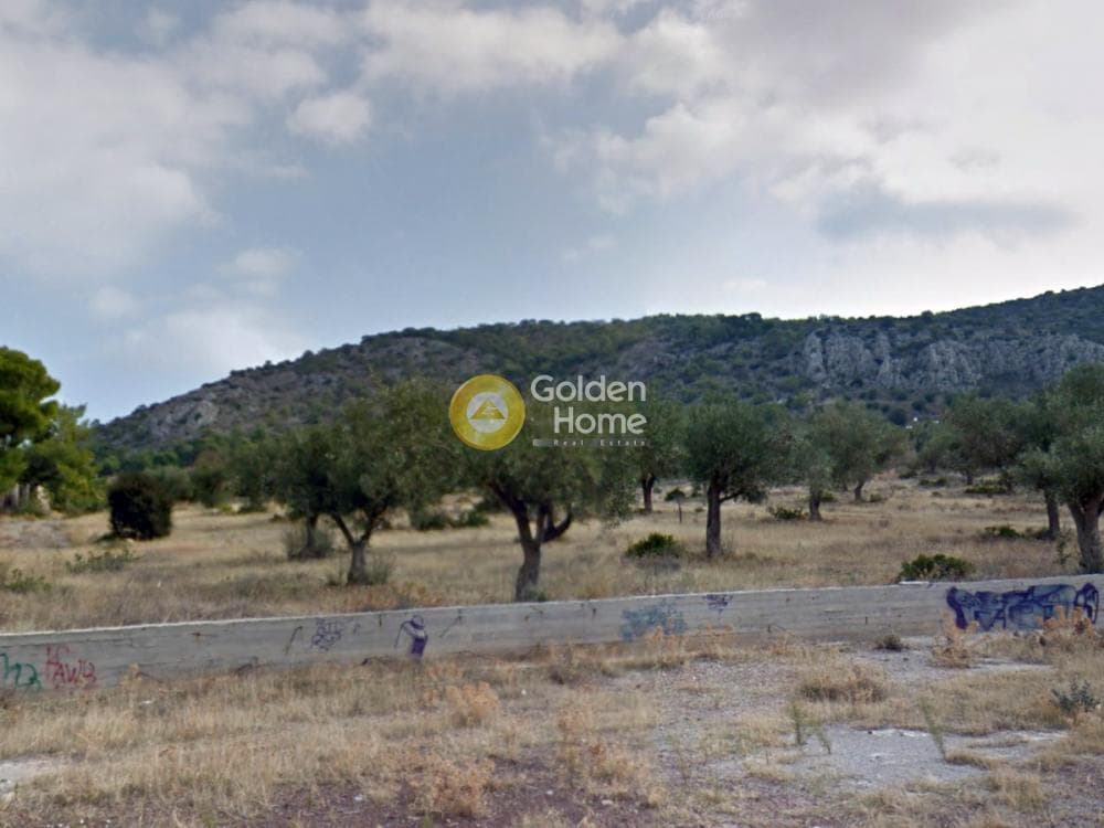 Αγροτεμάχιο στην Μεγάλο Ντορότο, Σαλαμίνα