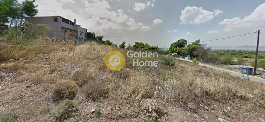 Αγροτεμάχιο στην Κεφαλάρι, Κηφισιά — Φωτογραφία 1 από 5