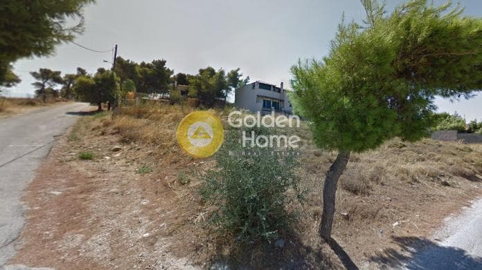Αγροτεμάχιο στην Κεφαλάρι, Κηφισιά — Φωτογραφία 4 από 5