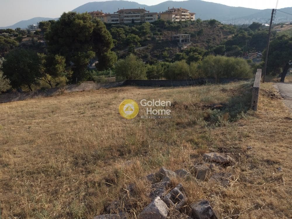 Αγροτεμάχιο στην Καλογερικό, Παλλήνη — Φωτογραφία 2 από 10