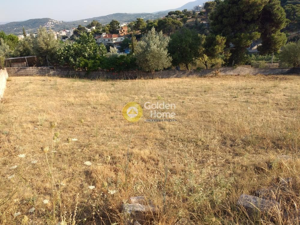 Αγροτεμάχιο στην Καλογερικό, Παλλήνη — Φωτογραφία 4 από 10