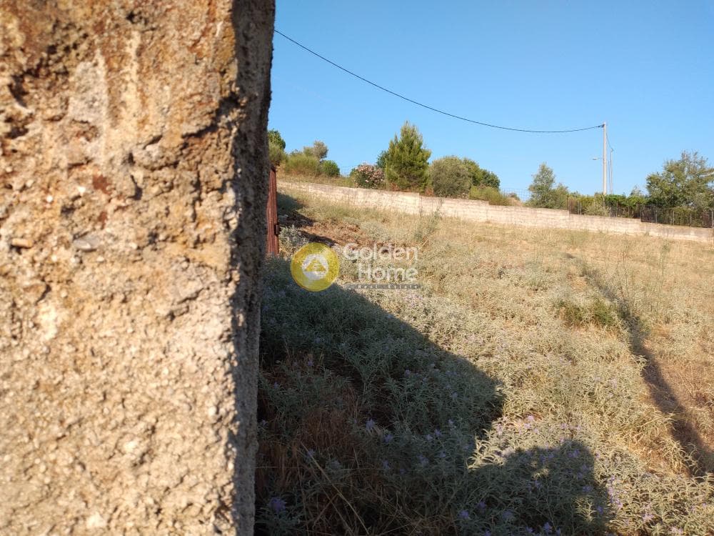 Αγροτεμάχιο στην Καλογερικό, Παλλήνη — Φωτογραφία 5 από 10
