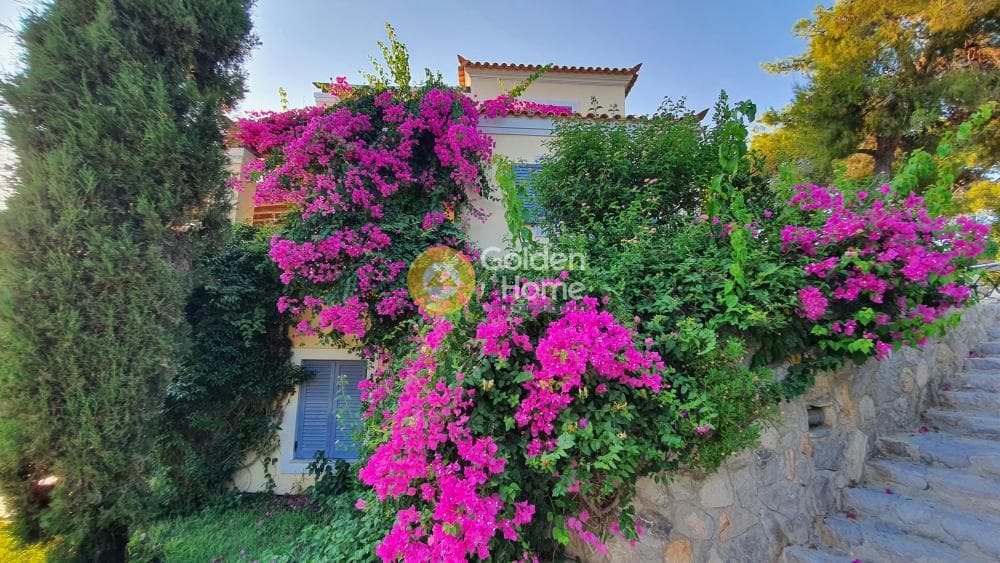 House in Chinitsa, Spetses — Photo 12 of 127