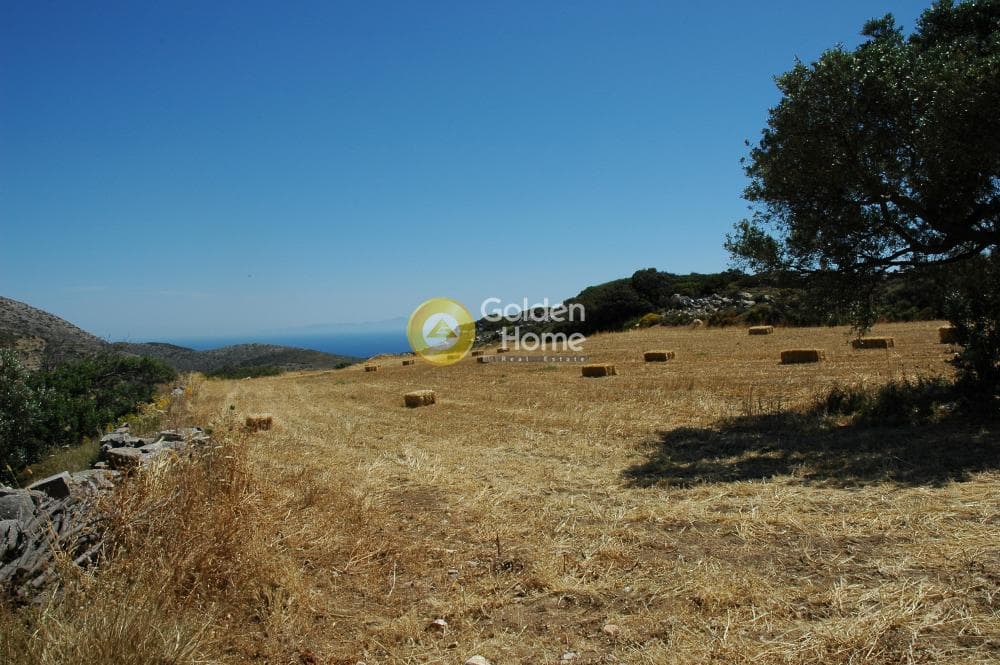 Parcel in Paroikia, Paros — Photo 16 of 25