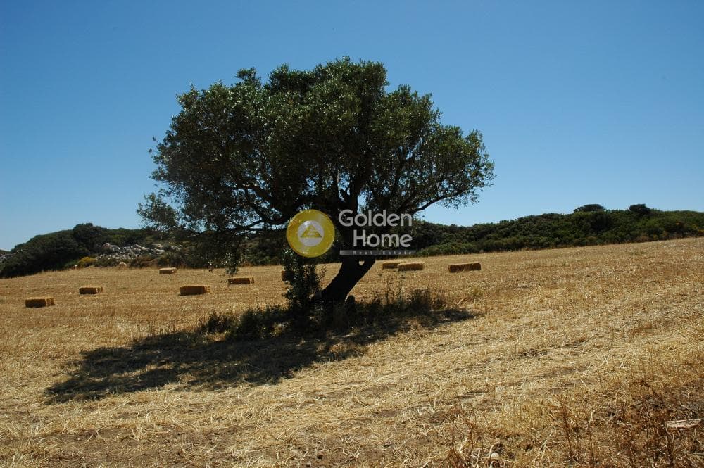 Parcel in Paroikia, Paros — Photo 17 of 25