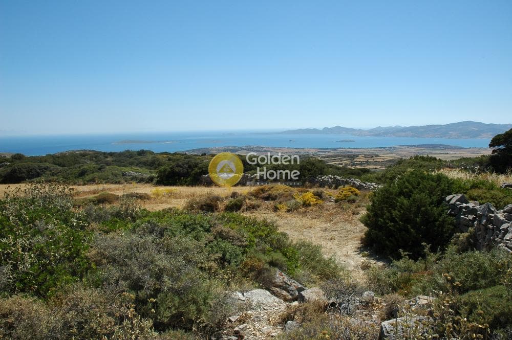 Parcel in Paroikia, Paros — Photo 9 of 25