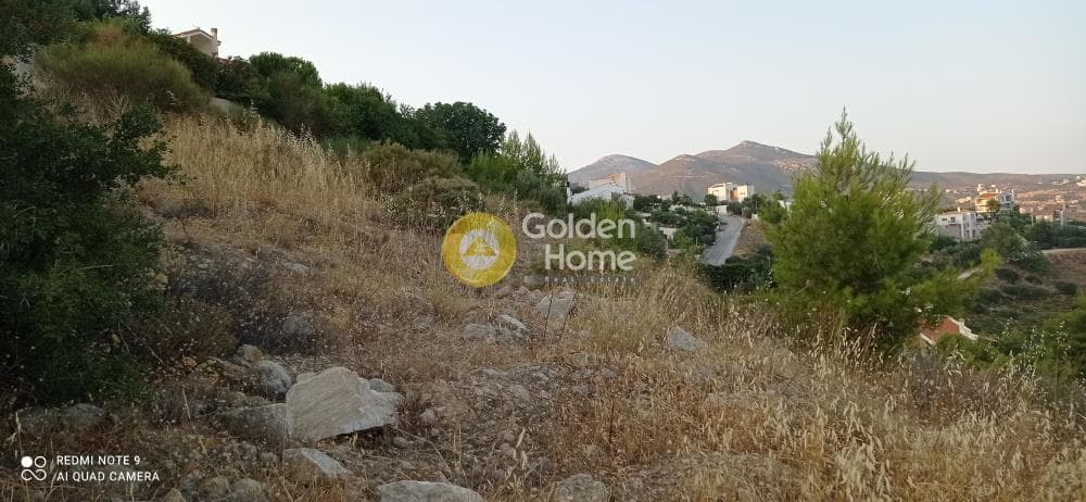 Οικόπεδο στην Νέα Παλλήνη, Παλλήνη — Φωτογραφία 3 από 7