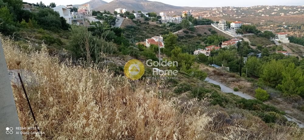 Οικόπεδο στην Νέα Παλλήνη, Παλλήνη — Φωτογραφία 5 από 7