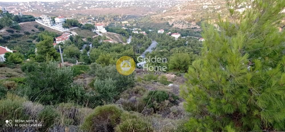 Οικόπεδο στην Νέα Παλλήνη, Παλλήνη — Φωτογραφία 6 από 7