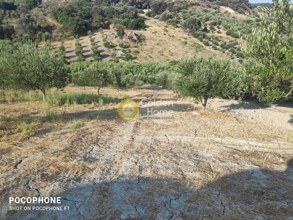 Αγροτεμάχιο στην Πυργού, Τετραχώρι — Φωτογραφία 54 από 55
