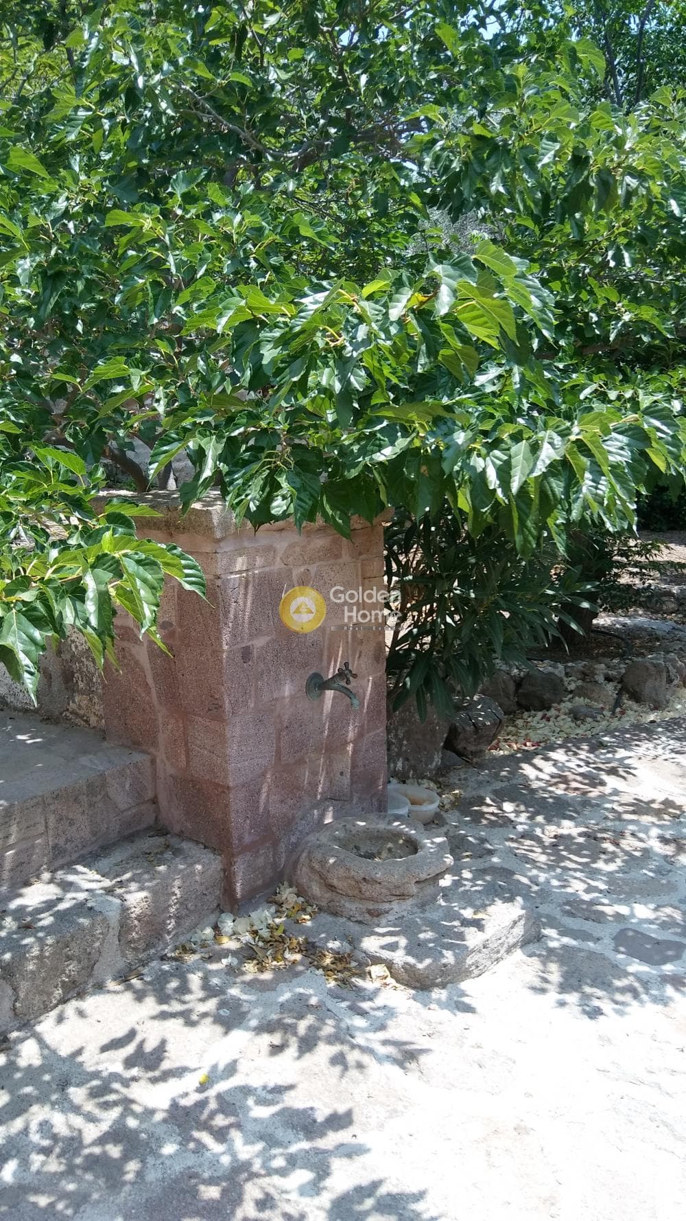 Οικόπεδο στην Μονή Κοιμήσεως Θεοτόκου, Αίγινα — Φωτογραφία 2 από 24