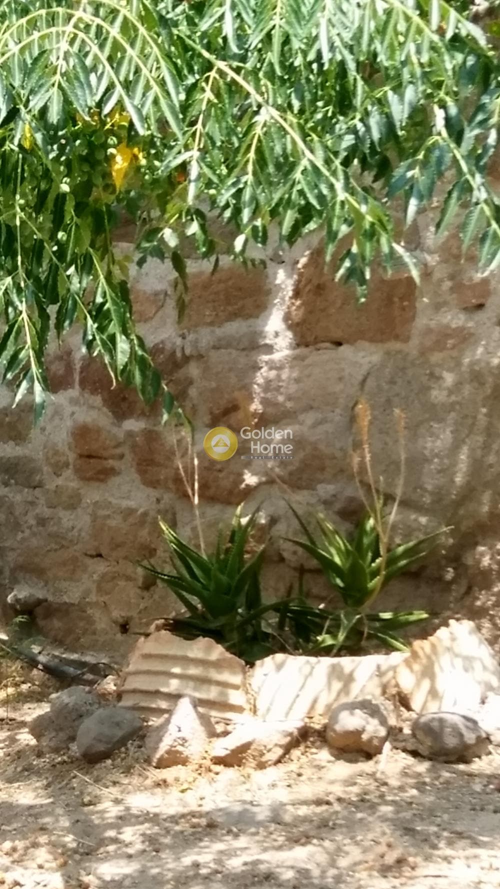 Οικόπεδο στην Μονή Κοιμήσεως Θεοτόκου, Αίγινα — Φωτογραφία 7 από 24