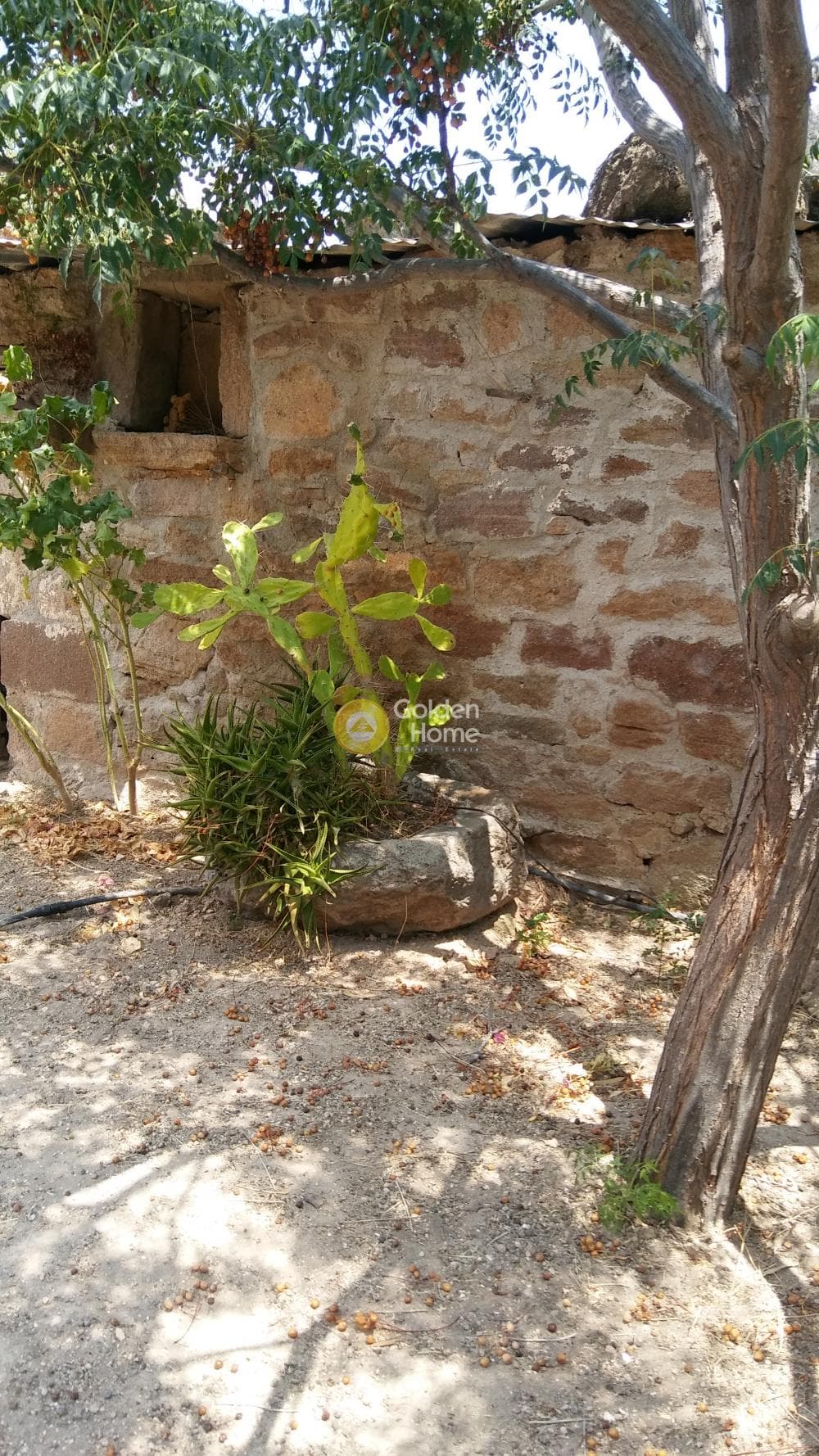 Οικόπεδο στην Μονή Κοιμήσεως Θεοτόκου, Αίγινα — Φωτογραφία 6 από 24
