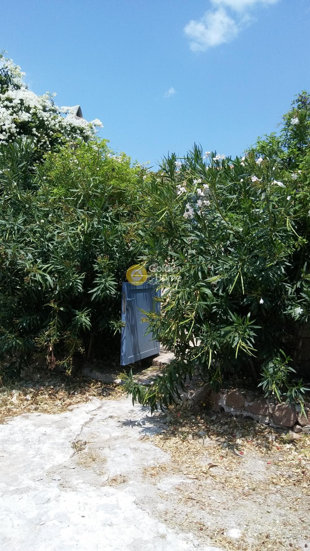 Οικόπεδο στην Μονή Κοιμήσεως Θεοτόκου, Αίγινα — Φωτογραφία 17 από 24